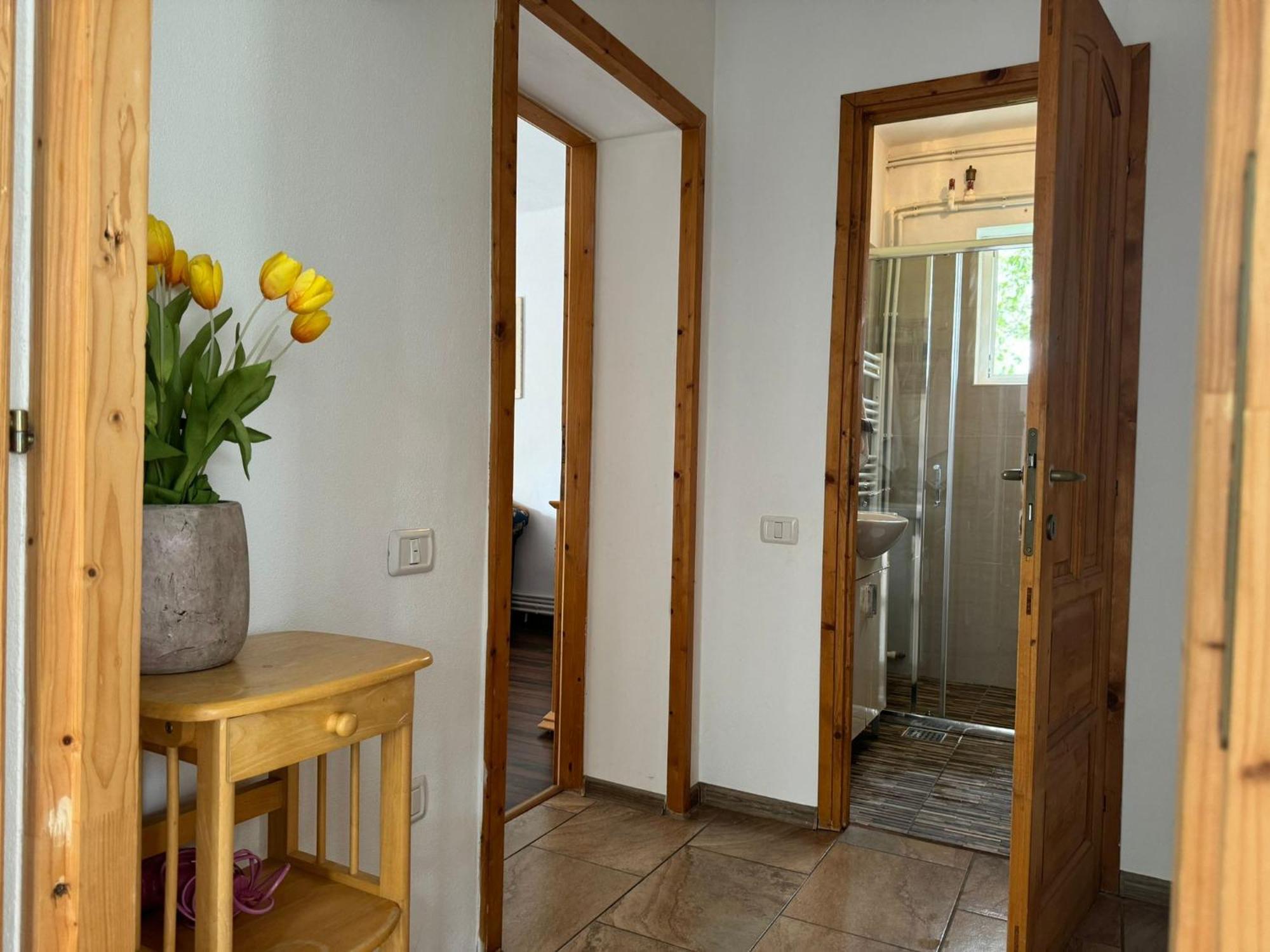 Home Tara Haţeg Exterior foto